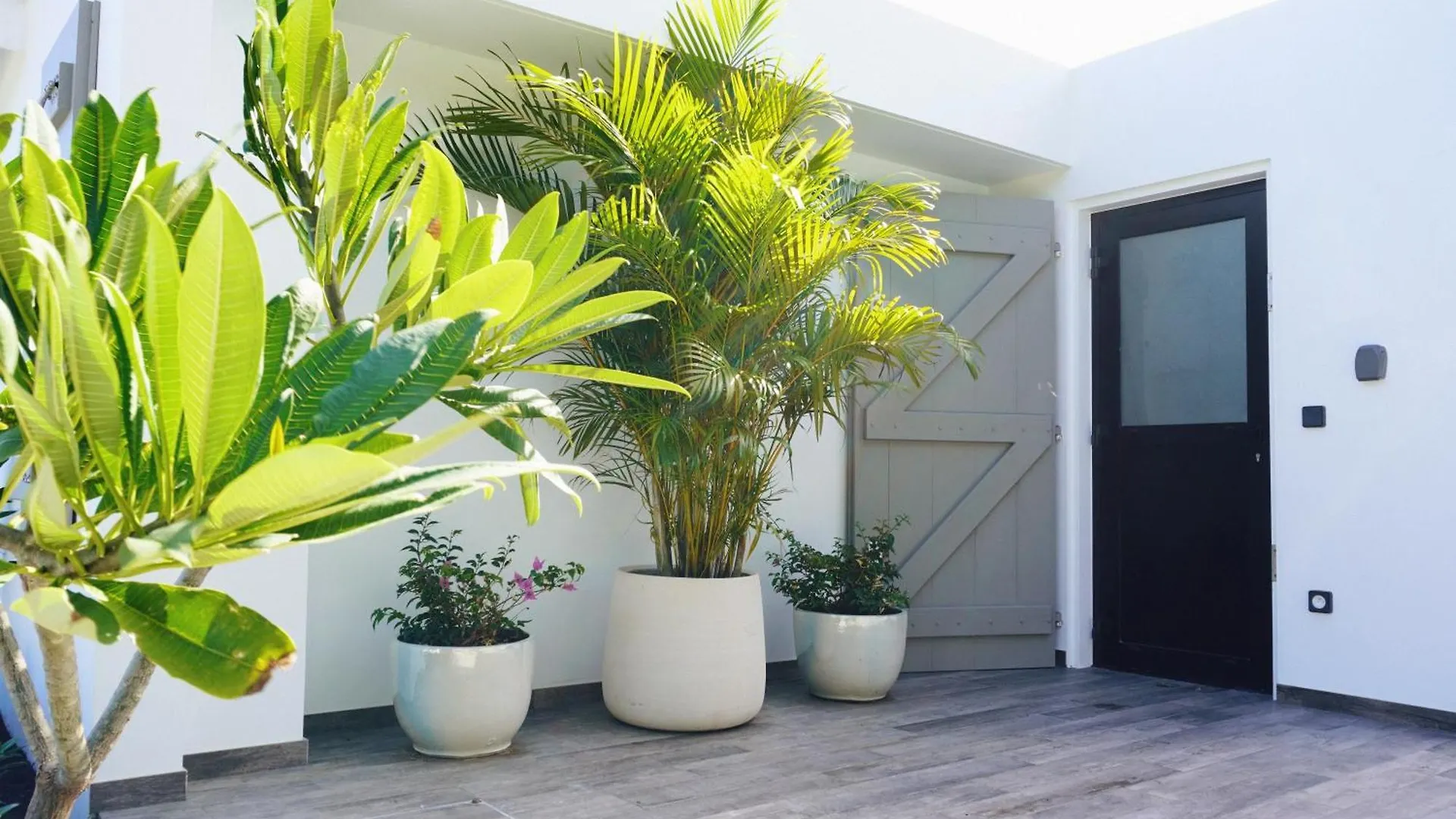 Vakantiehuis New ! Villa Gama Vue Mer ! Flamands Saint Barthélemy